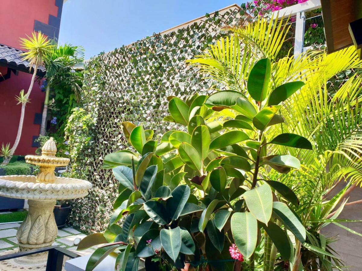 アグイメス Casa Roque Aguayroヴィラ エクステリア 写真